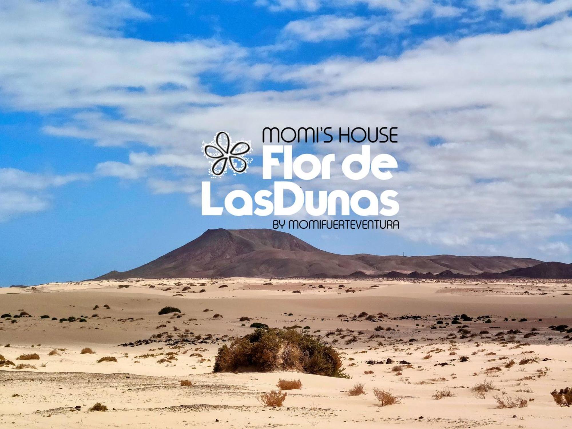 Flor De Las Dunas Pools Wifi Tennis Bikes For Free Коральео Экстерьер фото